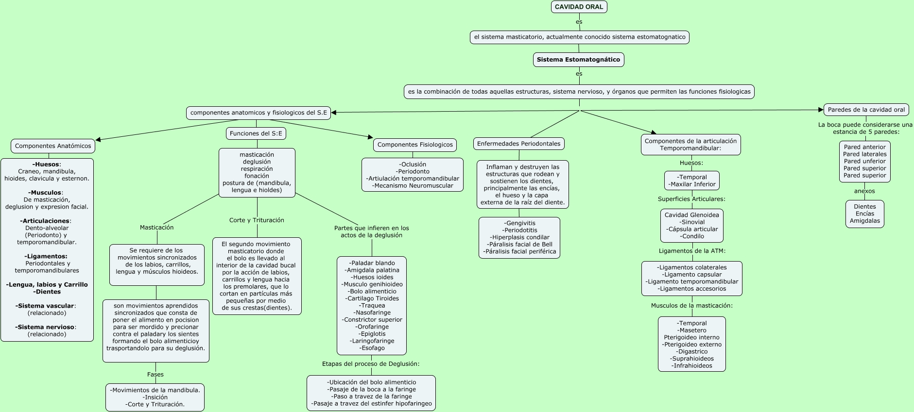 Cavidad Oral_Yazmin Sánchez_80003_64